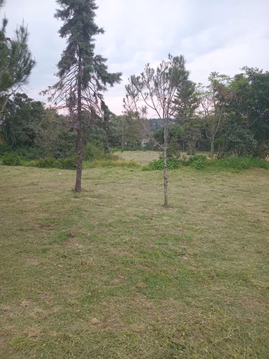 0 Bedroom Property for Sale in Bathurst Eastern Cape